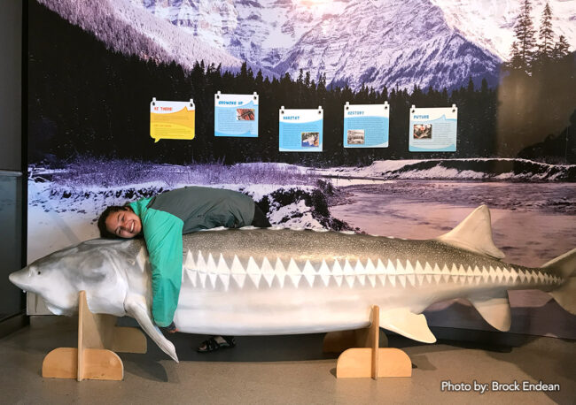 Myka hugging a sturgeon display at the Fraser River Discovery Centre, New Westminster.