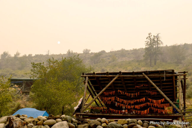 Sockeye drying in a St’át’imc First Nations fishing camp in the Fraser Canyon.