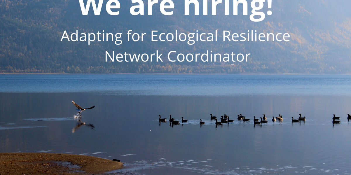 We are hiring! (1200 x 800 px)