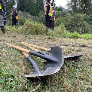 Shovels on the grass.