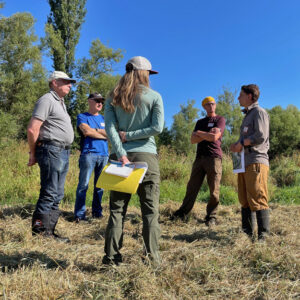 Foodlands collaborators standing in a circle on long grass, talking.