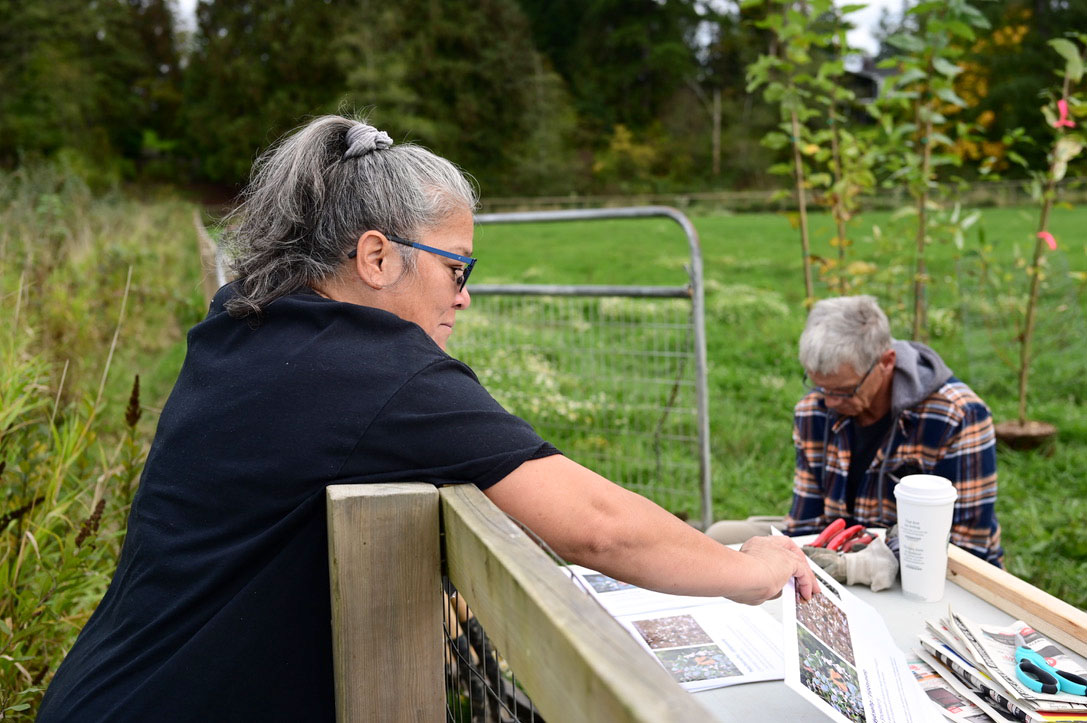 In the foreground, on the left side of the image, a woman wearing a black t-shirt, blue glasses and has her salt & pepper hair in a ponytail is leaning over a fence, holding and looking at papers on a table. In the background, a man with grey hair and glasses is at the end of the table, looking down at something out of sight in his hands. A field and evergreen trees are visible behind them.
