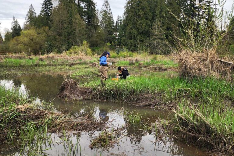 Two people standing on the banks of the flooded sc̓e:ɬxʷəy̓əm Corridor; one standing in a blue jacket, the other crouching.