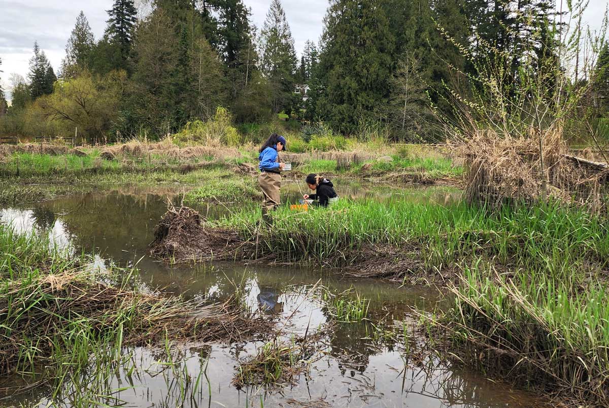 Two people standing on the banks of the flooded sc̓e:ɬxʷəy̓əm Corridor; one standing in a blue jacket, the other crouching.