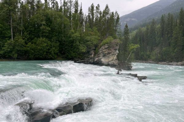 Rearguard Falls image shows the cold headwaters of the Fraser River rushing over the rapids.