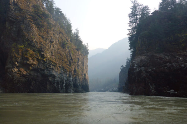 High, moss covered rock walls with trees growing on top rise out of the fast-moving Fraser River as it narrows to pass through a canyon.
